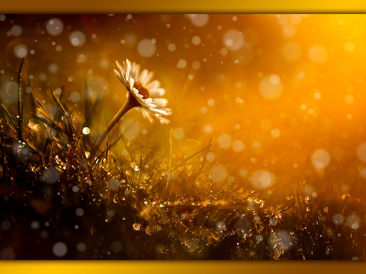 parallax background