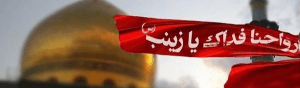 ویلایت-ثروت-فقر