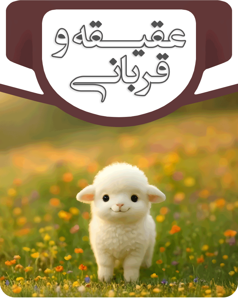 تصویر تعاملی