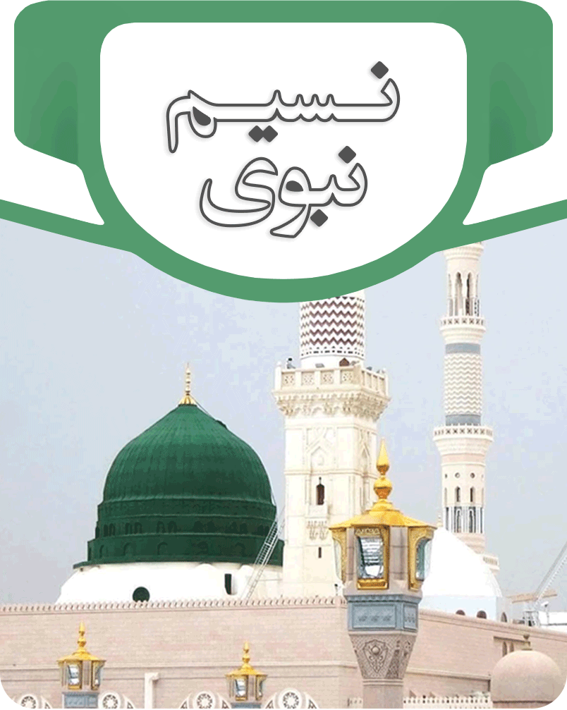 تصویر تعاملی